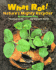 What Rot! : Nature's Mighty Recycler