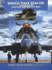 Wings That Stay on: the Role of Fighter Aircraft in War