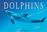 Dolphins
