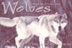 Wolves: a Book of 21 Postcards