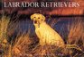 Labrador Retrievers