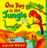 One Day in the Jungle