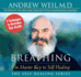 Breathing: the Master Key to Self Healing (the Self Healing Series)