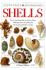 Shells (Eyewitness Handbooks)