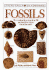 Fossils (Dk Handbooks)