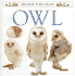Owl (See How They Grow)