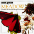 Meadow (Look Closer)