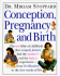Conception Pregnancy & Birth