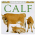 Calf (See How They Grow)