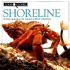 Shoreline (Look Closer)