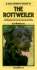 Dog Owners Guide to the Rottweiler