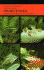 Dwarf Cichlids: a Handbook for Their Identification, Care, and Breeding