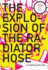 The Explosion of the Radiator Hose: a Novel (French Literature)