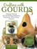 Crafting With Gourds: Building, Painting, and Embellishing Birdhouses, Flowerpots, Wind Chimes, and More (Fox Chapel Publishing) 14 Step-By-Step Projects for Natural, Seasonal D�cor From Lora S. Irish