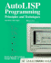 Autolisp Programming: Principles and Techniques