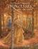 The Twelve Dancing Princesses Format: Paperback