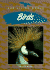 Birds (Our Living World)