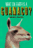 What on Earth is a Guanaco?