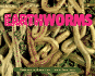 Nature Close-Up-Earthworms