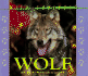 Wild Canines of North America-Wolf