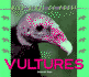 Wild Birds of Prey-Vultures