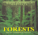 Wild America Habitats-Forests