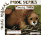 Young Billy: a New Beginning! (Young Animal Pride Series)