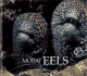 Moray Eels (Naturebooks Underwater Life)