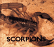 Scorpions (Naturebooks)
