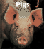 Pigs (Naturebooks)