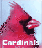 Cardinals (Naturebooks)