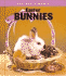 Easter Bunnies (Holiday Symbols)