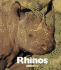 Rhinos (Naturebooks)