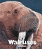 Walruses (Naturebooks)