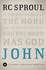 John (St. Andrew's Expositional Commentary)