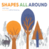 Shapes All Around