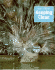 Keeping Clean (Nature's Secrets)
