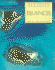 Islands (Habitats)