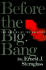 Before the Big Bang: the Origins of the Universe