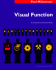 Visual Function: an Introduction to Information Design