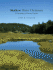 Shallow Water Dictionary: a Grounding in Estuary English
