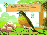 Robin at Hickory Street (Smithsonian's Backyard)