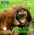 Orang Utan's Play Time (Let's Go to the Zoo! )