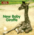 New Baby Giraffe (Let's Go to the Zoo! )