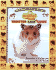 Hamtaro Hamster Care Guide
