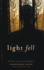 Light Fell