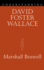 Understanding David Foster Wallace