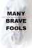 Many Brave Fools: a Story of Addiction, Dysfunction, Codependency...and Horses
