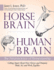 Horse Brain, Human Brain: the Neuroscience of Horsemanship
