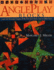 Angleplay Blocks: Simple Half-Rectangle Triangles, 84 No-Math Quilt Blocks, Easy-to-Follow Charts